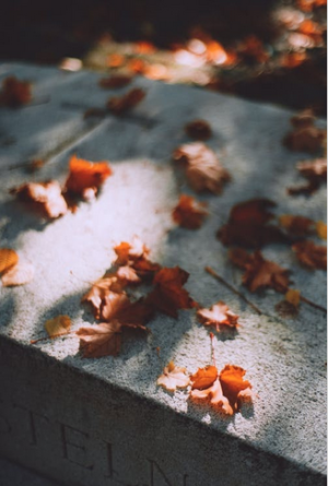 Golden leaves scattered on grey slabs 